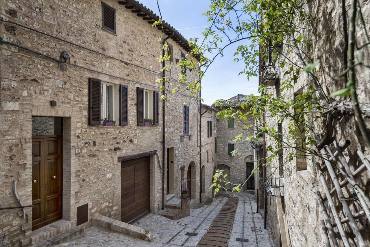 Villa Elisa Spello Dış mekan fotoğraf